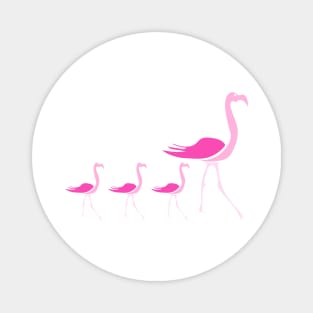 Flamingos flamingo Magnet